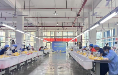 匠藝筑夢(mèng) 絨耀秦巴——安康市第六屆新社區(qū)工廠(chǎng)技能大賽總決賽圓滿(mǎn)落幕